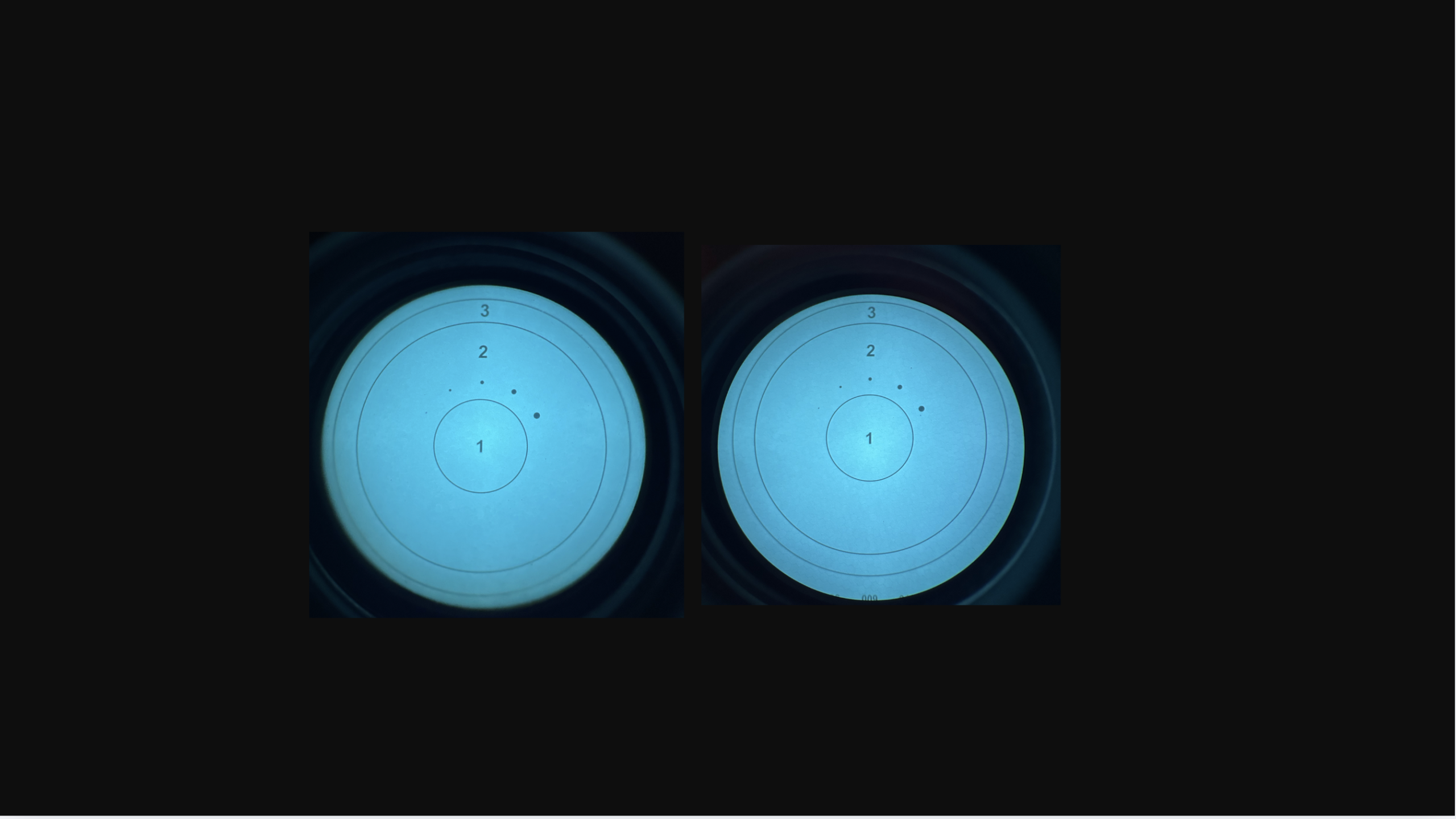 Raptor - Image 2