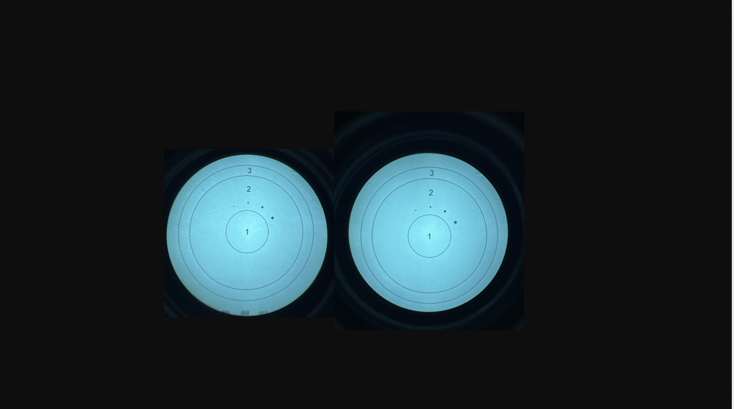 Raptor - Image 3